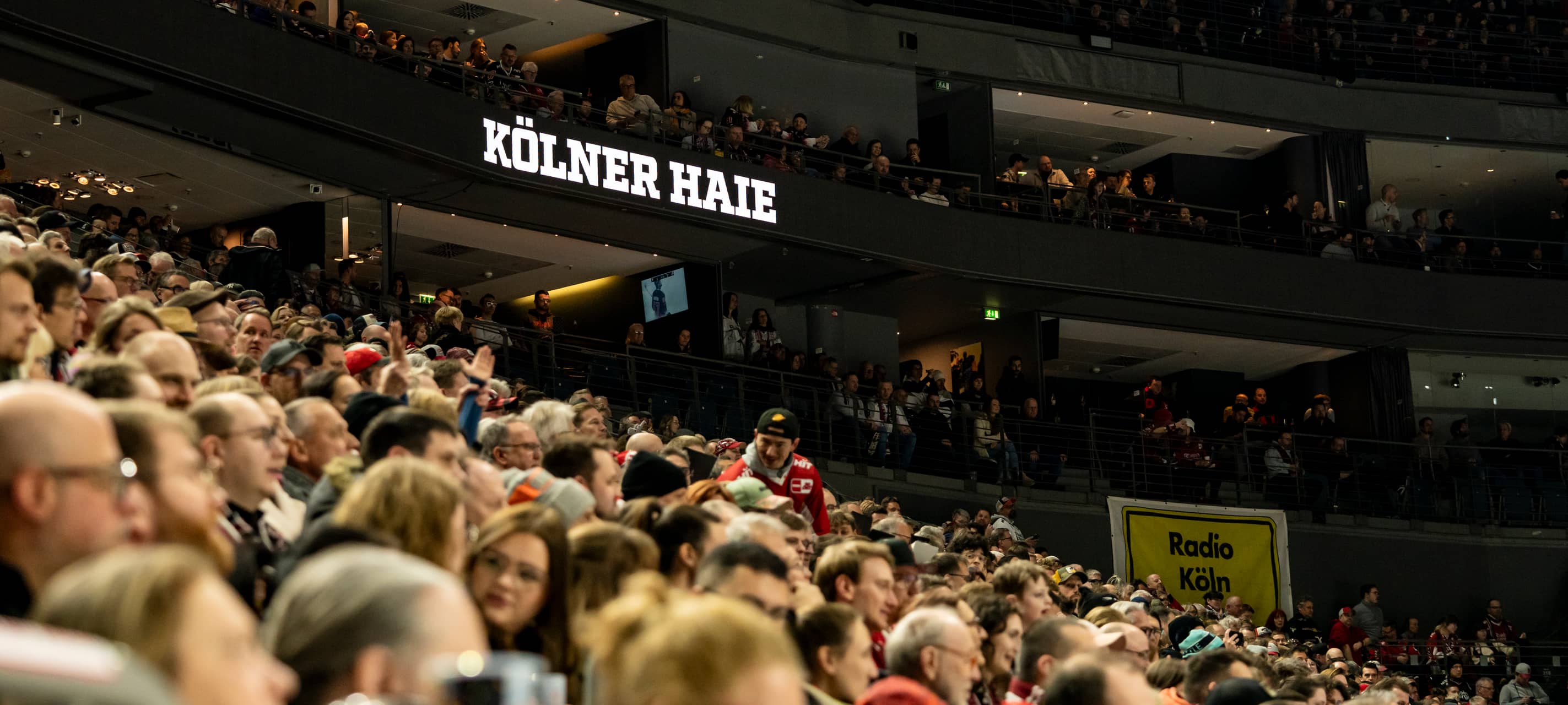 Schwerer Gegner für die Haie in der CHL