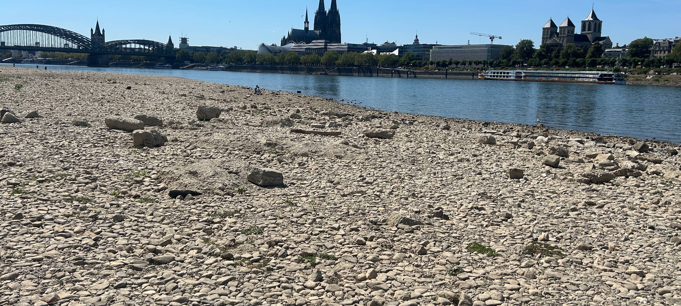 Viele Blindgänger-Funde wegen Niedrigwasser im Rhein